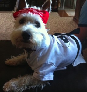 halloween_me halloween me1 286x300 Pet Safe Halloween