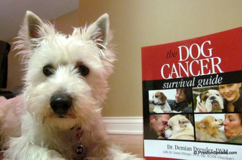 dr dressler dog cancer