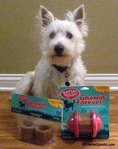 gnawin forever3 238x300 Gnawin’ Forever Review & Giveaway (CLOSED)