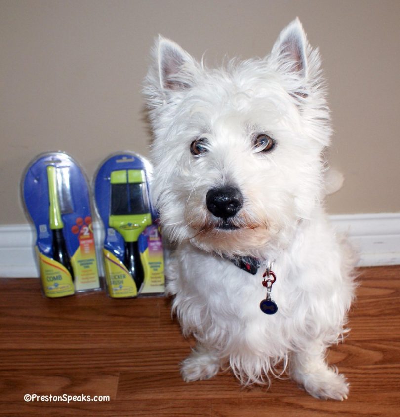 FURminator 2 Step Grooming Products Review PrestonSpeaks