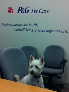 Preston at a meeting at P&G Pet Care - PrestonSpeaks.com