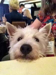 blogpaws47 225x300 BlogPaws 2012 Part 3   Saturday Highlights