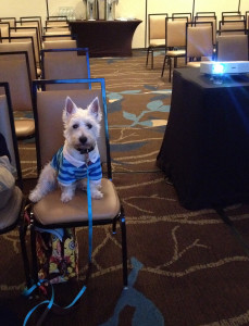 Preston presenting at a BlogPaws Workshop PrestonSpeaks.com