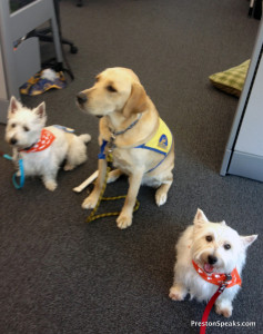 Yazley, Preston, and Evlis at P&G Pet Care - PrestonSpeaks.com