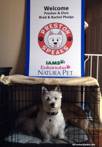 Preston and his sign from P&G Pet Care - PrestonSpeaks.com