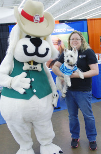 Wonder Pet Expo Dallas