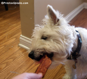 Freshpet turkey bacon treats - PrestonSpeaks.com