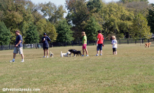 Preston at the Nashville Edwin Warner Dog Park - PrestonSpeaks.com