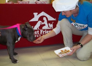 At Anderson Animal Shelter in Illinois