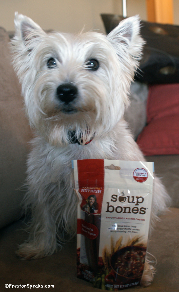 nutrish1 628x1024 Barkworld Wordless Wednesday