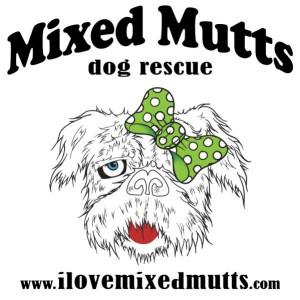 422181 462429170457417 1505037065 n 300x300 Mixed Mutts Rescue at Southern Ca Pet expo #amazingpetexpo