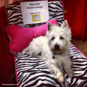 bed2 300x300 Enchanted Home Pet bed giveaway #amazingpetexpo