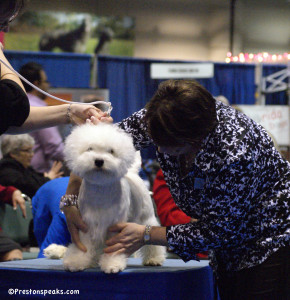 2012 AKC/Eukanuba National Championship BOB Westies