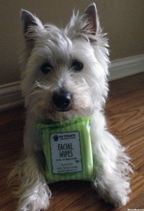 facal wipes wp 206x300 Earthbath Facial Wipes – Product Review | PrestonSpeaks.com