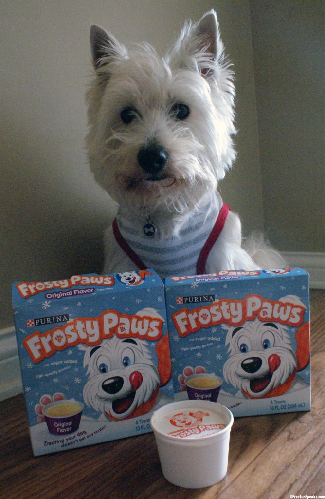 frosty dog ice cream