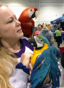 2013 Vegas Pet Expo 