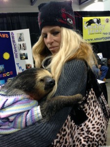 2013 Vegas Pet Expo 