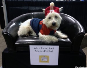 2013 Vegas Pet Expo 