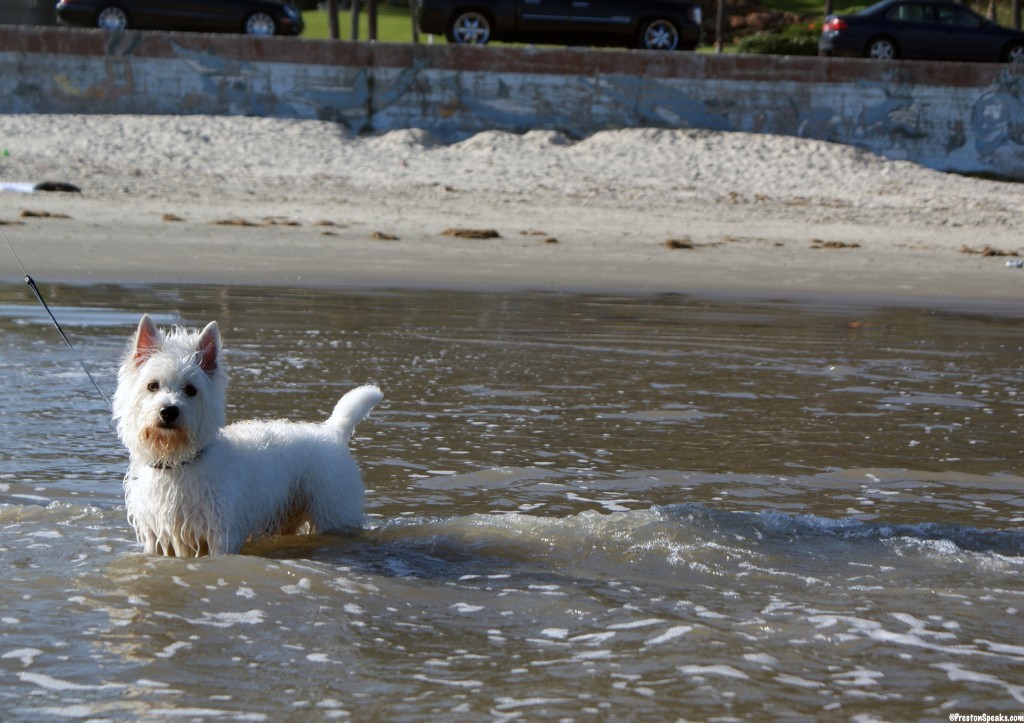 Galveston Texas Beach - PrestonSpeaks.com