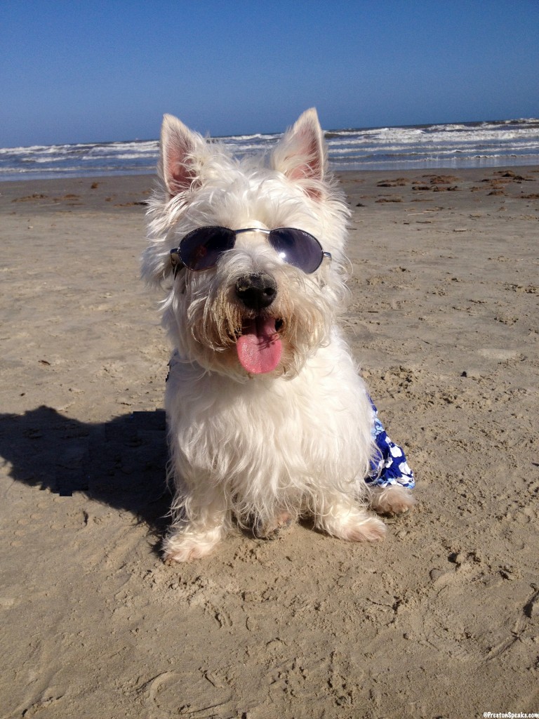 Galveston Texas Beach - PrestonSpeaks.com