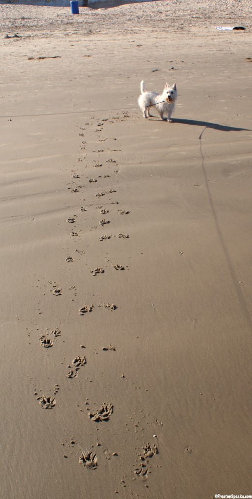 Galveston Texas Beach - PrestonSpeaks.com