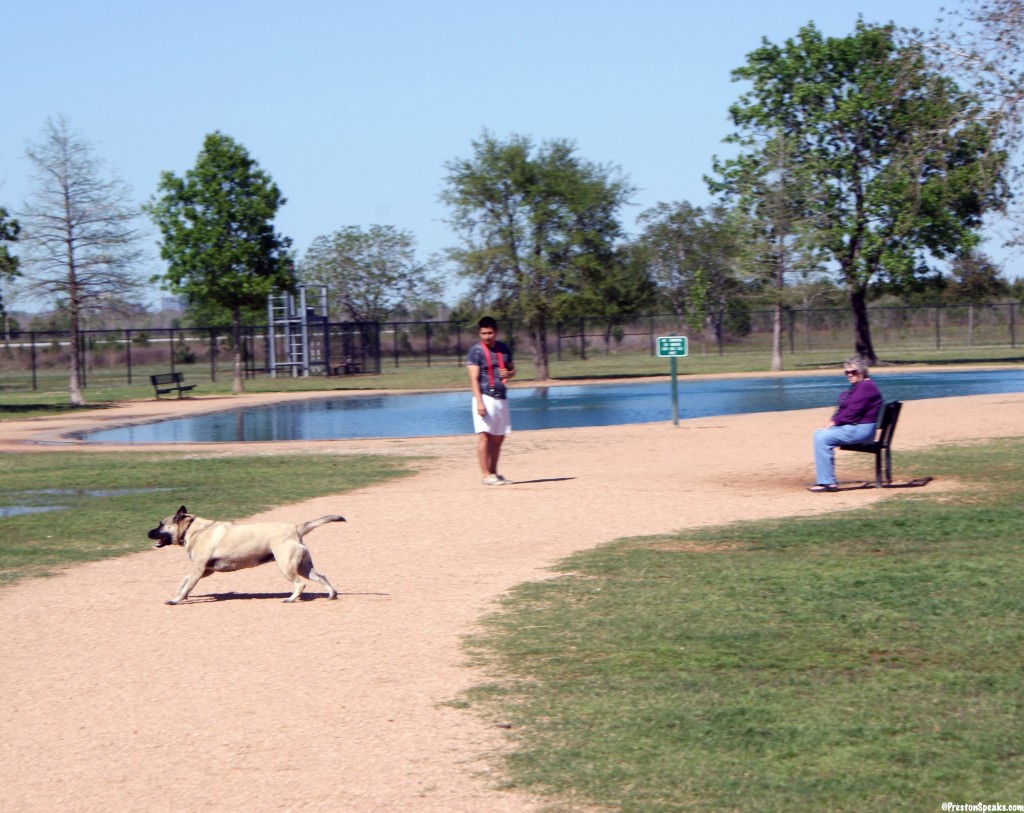 Millie Bush Dog Park - PrestonSpeaks.com