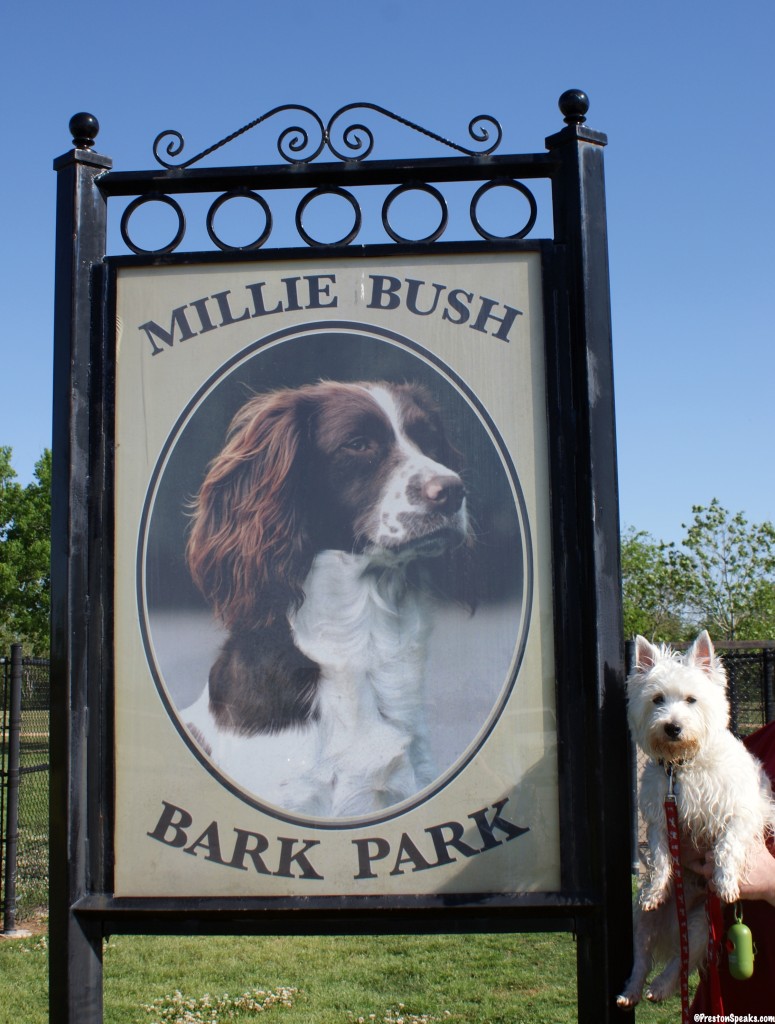 Millie Bush Dog Park - PrestonSpeaks.com