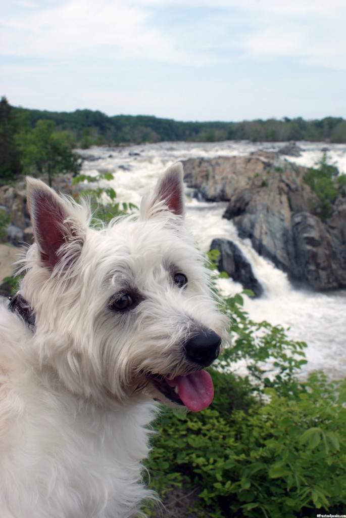 Great Falls State Park - PrestonSpeaks.com