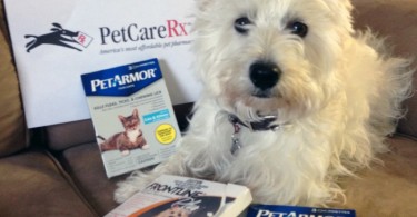 Preston and PetcareRx giveaway