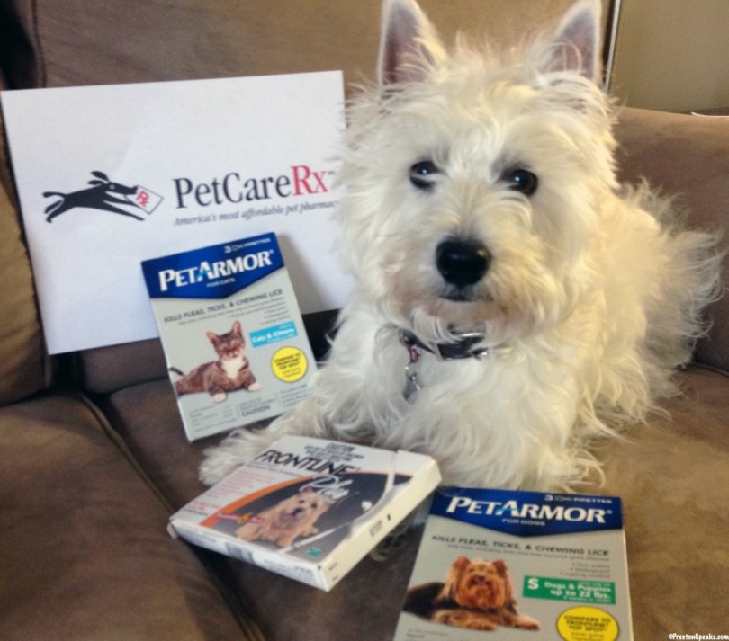 Preston and PetcareRx giveaway