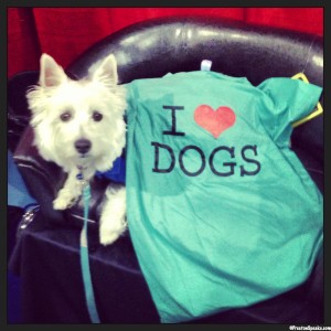 Iheartdogs_wp