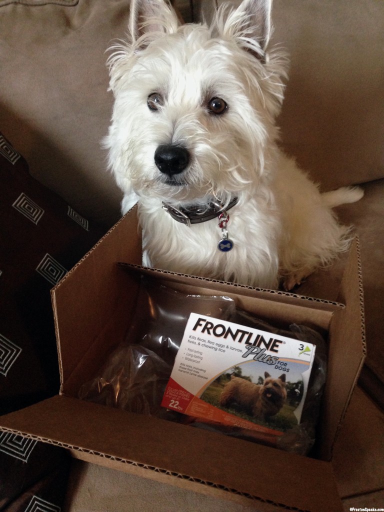 Categories Pet essentials