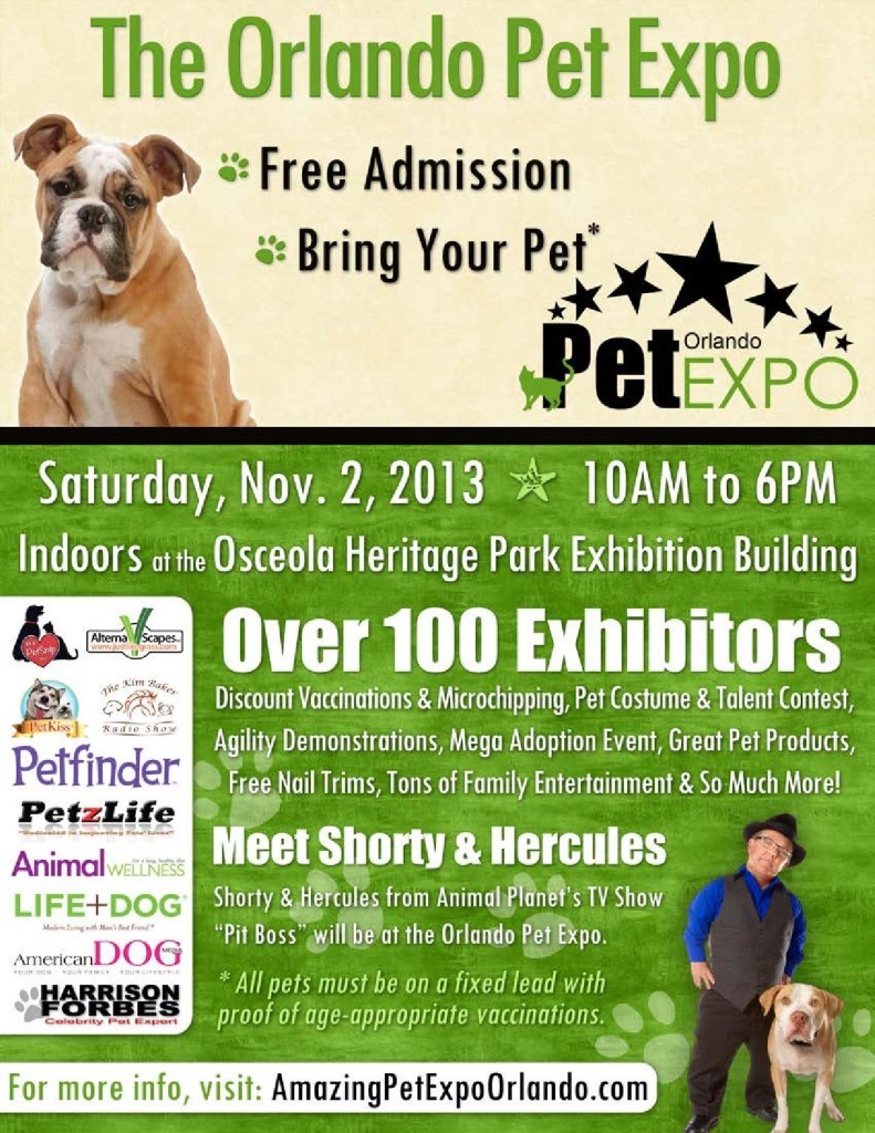 2013_orlando_flyer_web-page-001