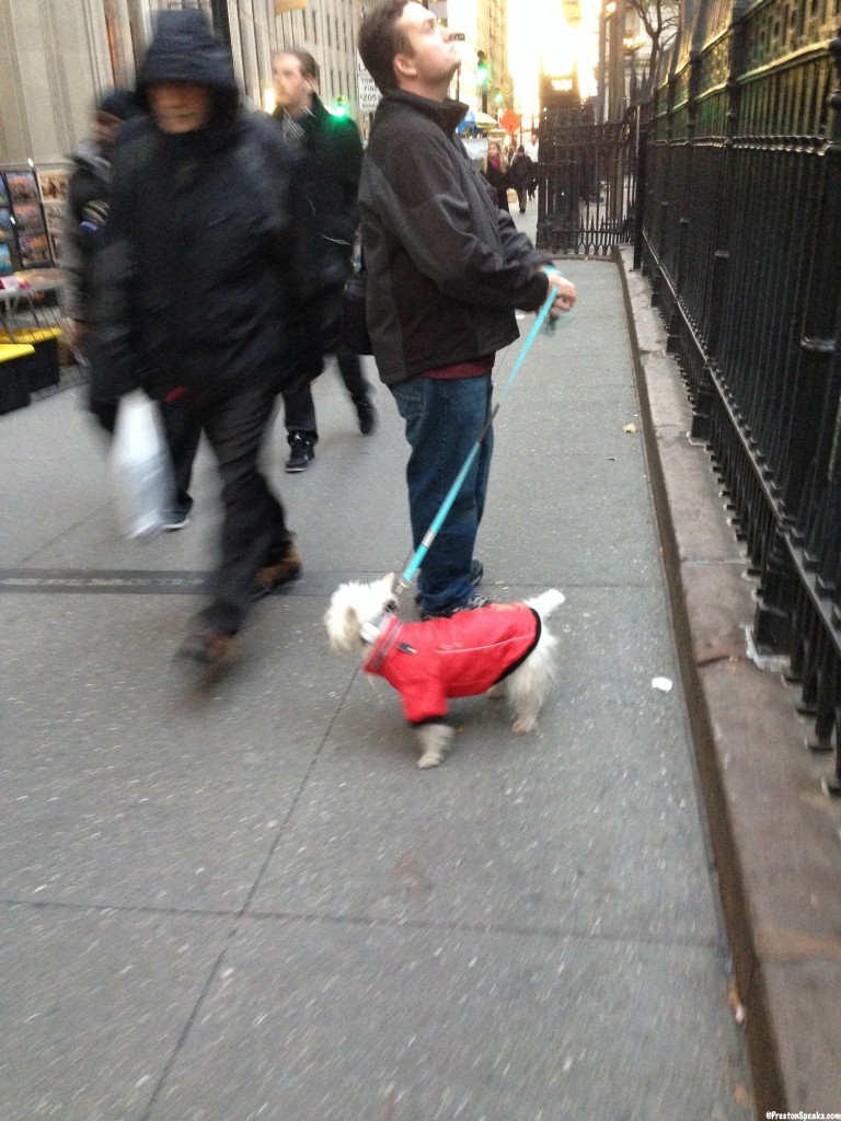Preston walking in NYC