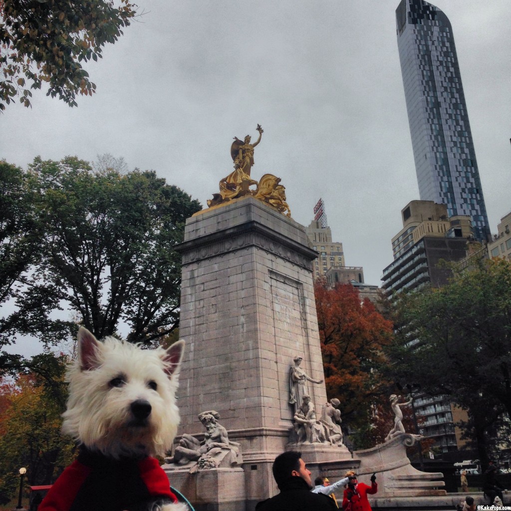 Central Park Entrance