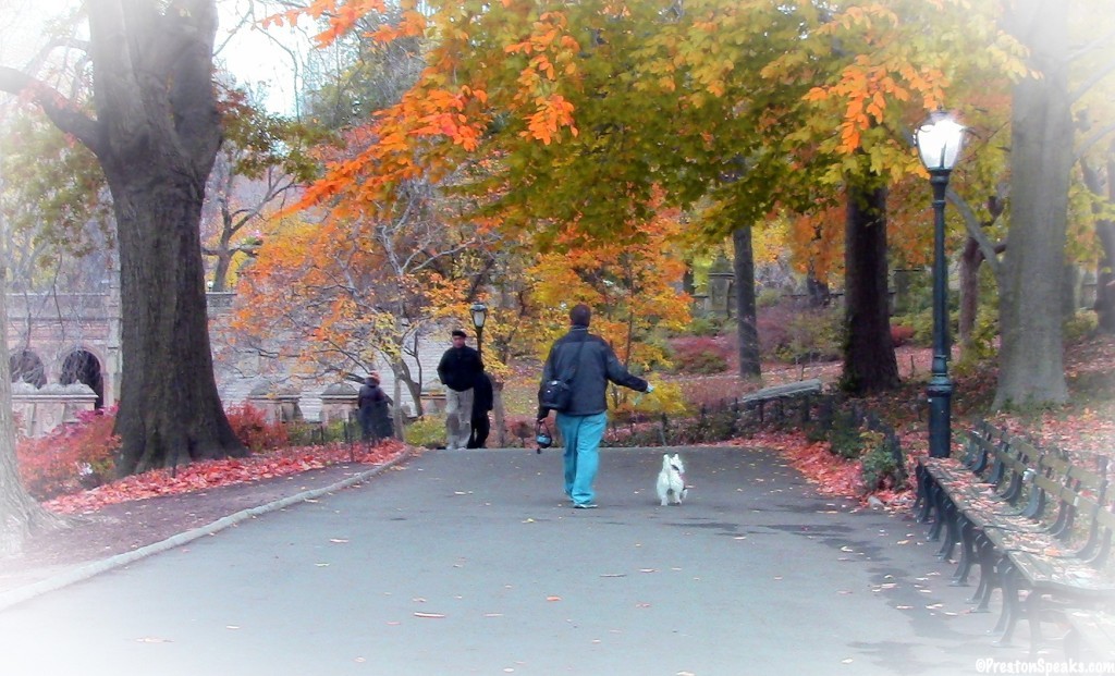 Preston and Brad in Central Park