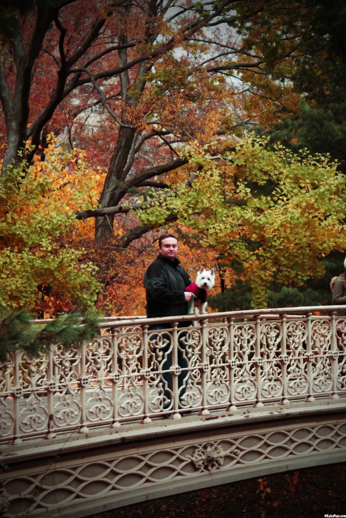 Preston and Brad at Central Park