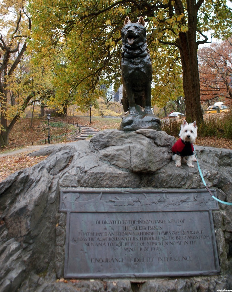 Preston at the sled dog memorial at Central Park