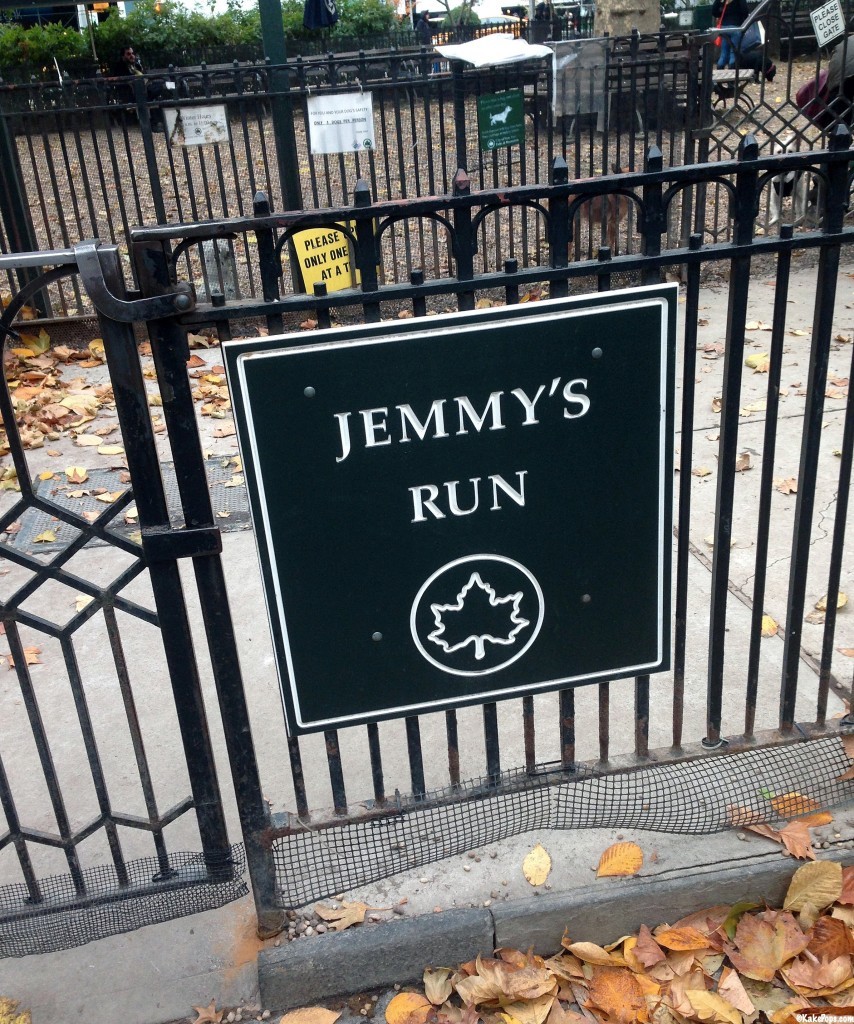 Jemmy's Run - NYC Dog Park