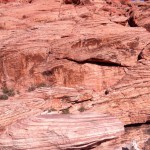 PrestonPreston from PrestonSpeaks.com at Red Rock Canyon from PrestonSpeaks.com at Red Rock Canyon