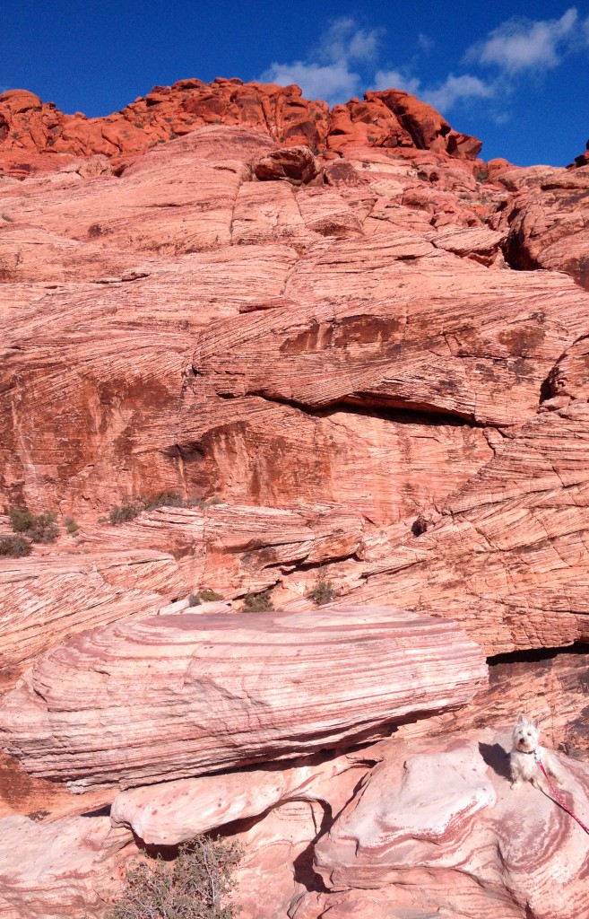 PrestonPreston from PrestonSpeaks.com at Red Rock Canyon from PrestonSpeaks.com at Red Rock Canyon