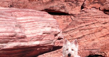 Preston from PrestonSpeaks.com at Red Rock Canyon