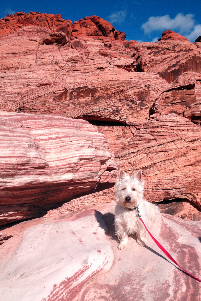 Preston from PrestonSpeaks.com at Red Rock Canyon