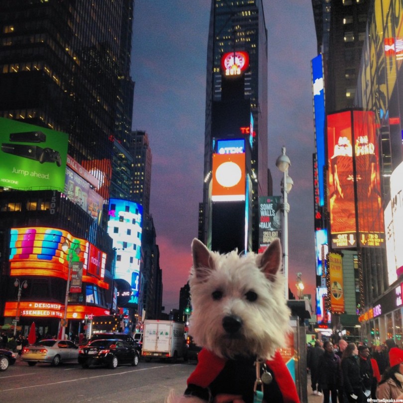 Preston in Time Square