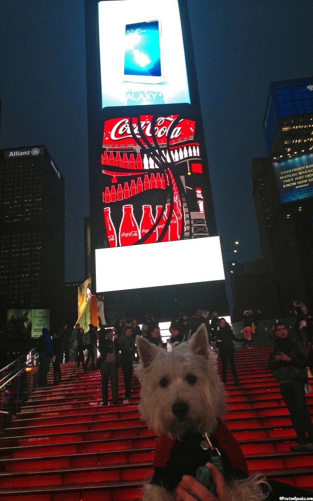 Preston in Times Square