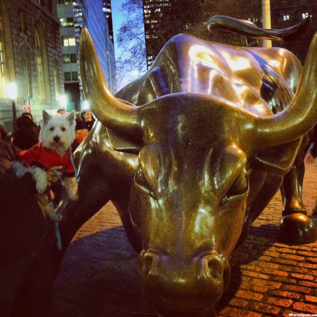 Preston at the Wall Street Bull
