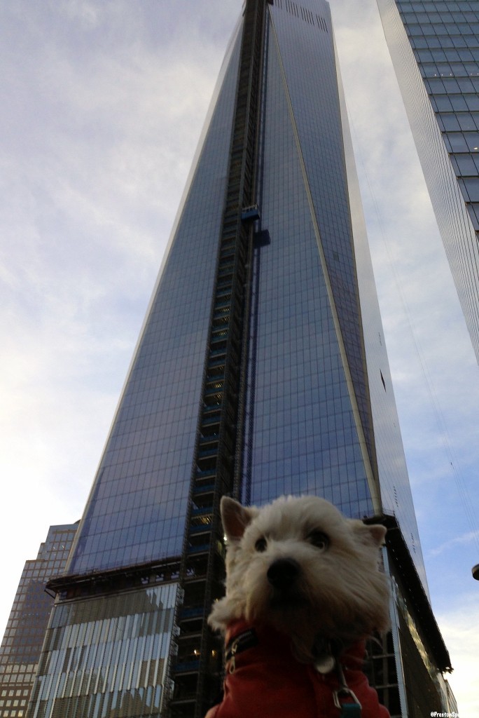 Preston at the WTC