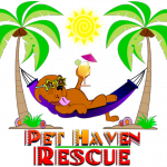 Pet Haven Rescue