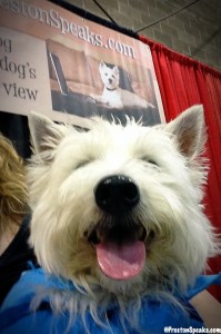 I was one happy pup visiting with my fans at my booth! 