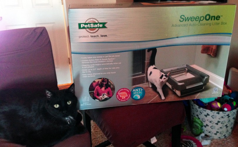 PetSafe SweepOne Litter box